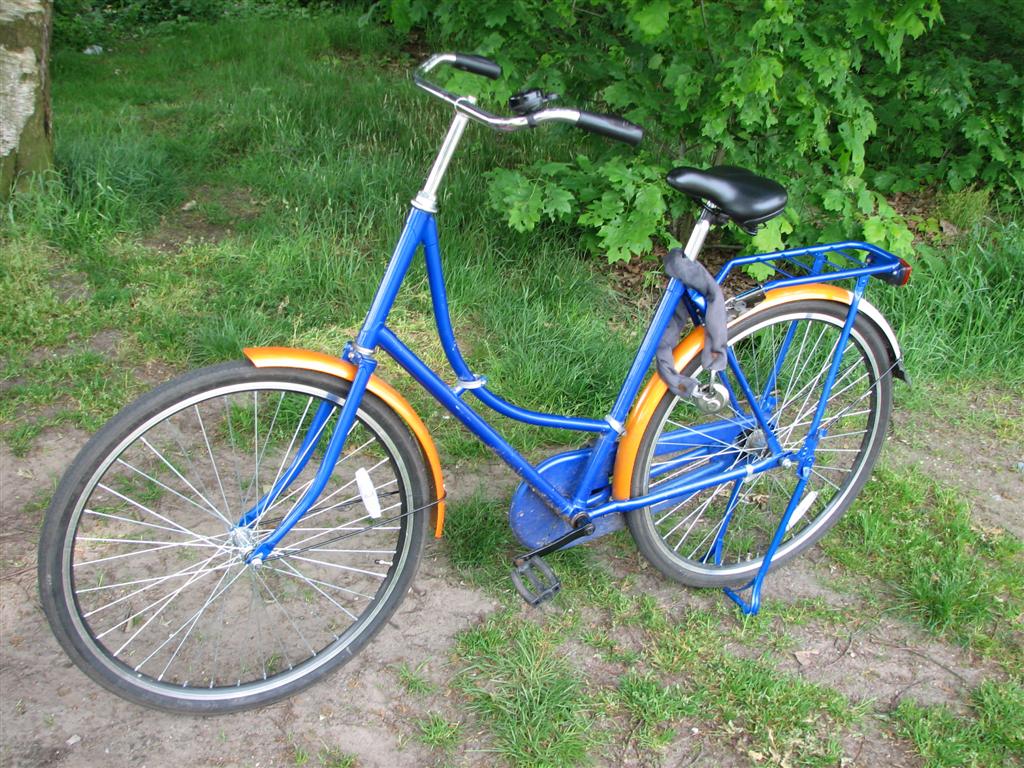 IMG_5981 (Large).jpg